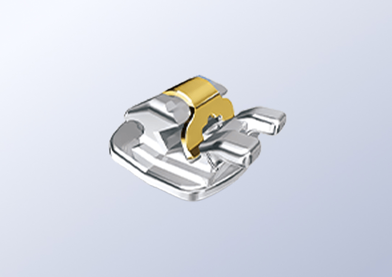 クリッピーL / Experience L