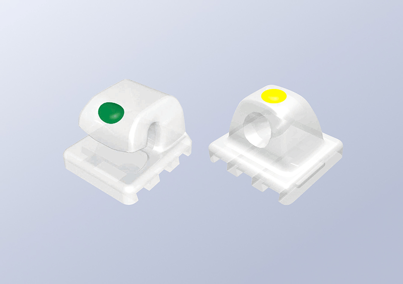 シーガルボタン / Seagull Button